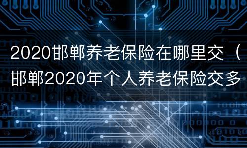 2020邯郸养老保险在哪里交（邯郸2020年个人养老保险交多少钱）