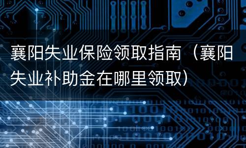 襄阳失业保险领取指南（襄阳失业补助金在哪里领取）