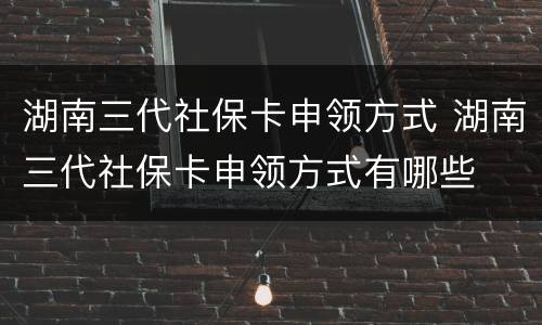 湖南三代社保卡申领方式 湖南三代社保卡申领方式有哪些