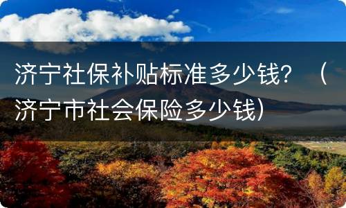 济宁社保补贴标准多少钱？（济宁市社会保险多少钱）