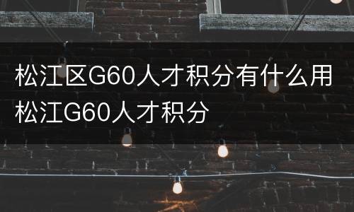 松江区G60人才积分有什么用 松江G60人才积分