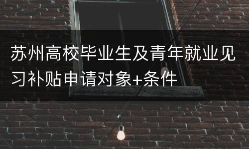 苏州高校毕业生及青年就业见习补贴申请对象+条件