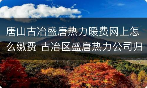 唐山古冶盛唐热力暖费网上怎么缴费 古冶区盛唐热力公司归哪里管