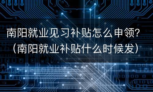 南阳就业见习补贴怎么申领？（南阳就业补贴什么时候发）
