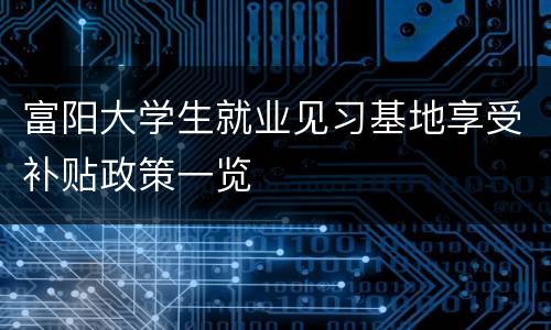 富阳大学生就业见习基地享受补贴政策一览