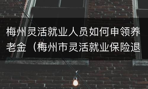 梅州灵活就业人员如何申领养老金（梅州市灵活就业保险退休能领多少钱）