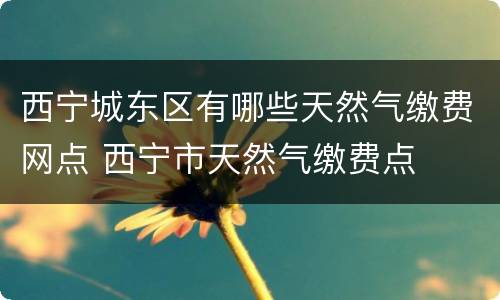 西宁城东区有哪些天然气缴费网点 西宁市天然气缴费点