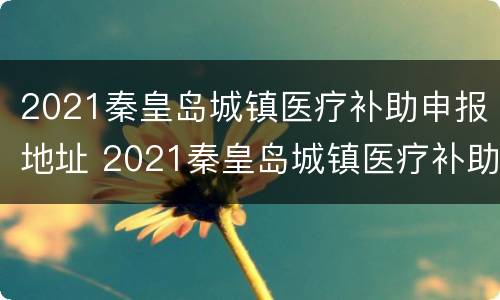 2021秦皇岛城镇医疗补助申报地址 2021秦皇岛城镇医疗补助申报地址查询