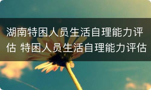 湖南特困人员生活自理能力评估 特困人员生活自理能力评估表