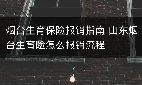 烟台生育保险报销指南 山东烟台生育险怎么报销流程