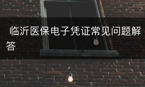  临沂医保电子凭证常见问题解答