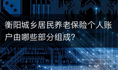 衡阳城乡居民养老保险个人账户由哪些部分组成?