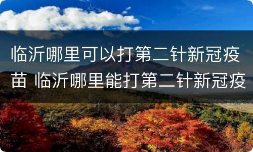 临沂哪里可以打第二针新冠疫苗 临沂哪里能打第二针新冠疫苗