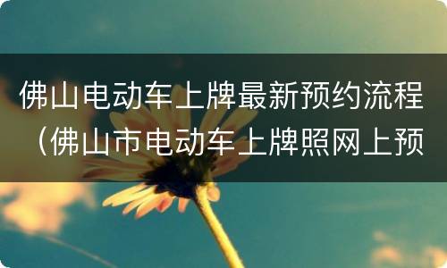 佛山电动车上牌最新预约流程（佛山市电动车上牌照网上预约时间）