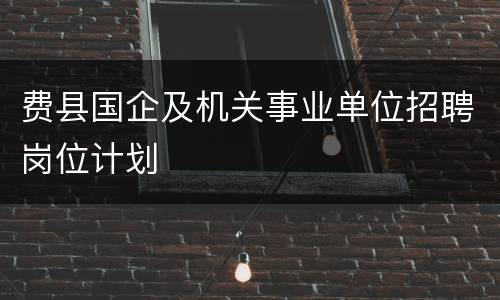 费县国企及机关事业单位招聘岗位计划