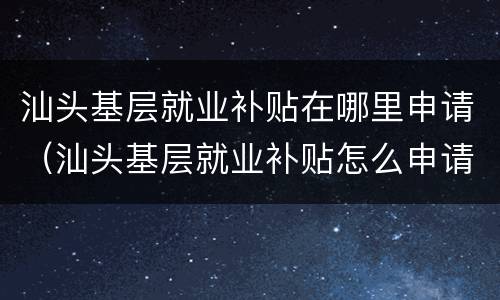 汕头基层就业补贴在哪里申请（汕头基层就业补贴怎么申请）