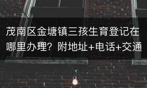 茂南区金塘镇三孩生育登记在哪里办理？附地址+电话+交通指引