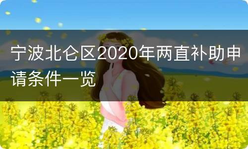 宁波北仑区2020年两直补助申请条件一览