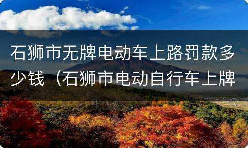 石狮市无牌电动车上路罚款多少钱（石狮市电动自行车上牌）