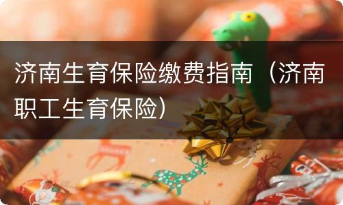 济南生育保险缴费指南（济南职工生育保险）
