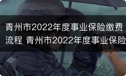 青州市2022年度事业保险缴费流程 青州市2022年度事业保险缴费流程图