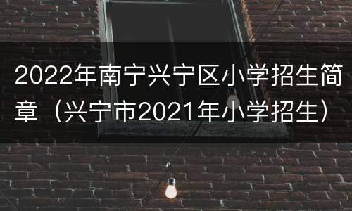2022年南宁兴宁区小学招生简章（兴宁市2021年小学招生）