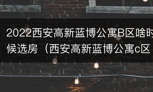 2022西安高新蓝博公寓B区啥时候选房（西安高新蓝博公寓c区）