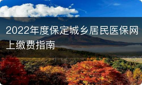 2022年度保定城乡居民医保网上缴费指南