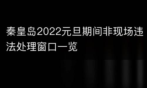 秦皇岛2022元旦期间非现场违法处理窗口一览