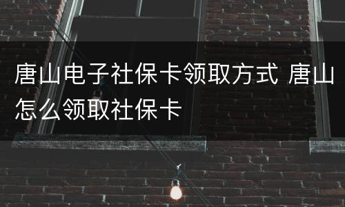 唐山电子社保卡领取方式 唐山怎么领取社保卡