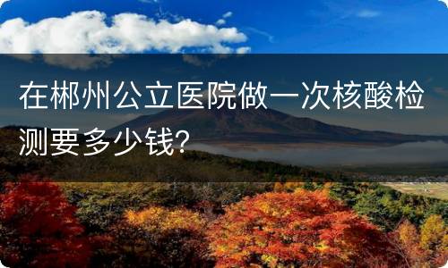 在郴州公立医院做一次核酸检测要多少钱？