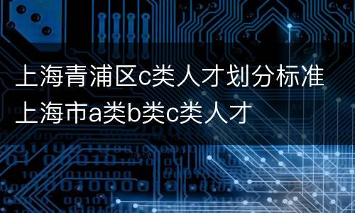 上海青浦区c类人才划分标准 上海市a类b类c类人才