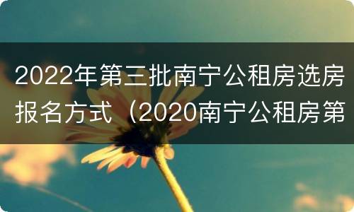 2022年第三批南宁公租房选房报名方式（2020南宁公租房第四批）