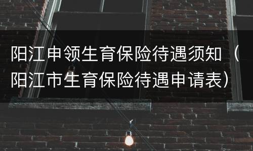 阳江申领生育保险待遇须知（阳江市生育保险待遇申请表）