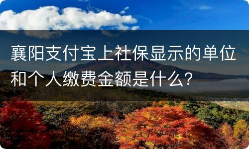 襄阳支付宝上社保显示的单位和个人缴费金额是什么？