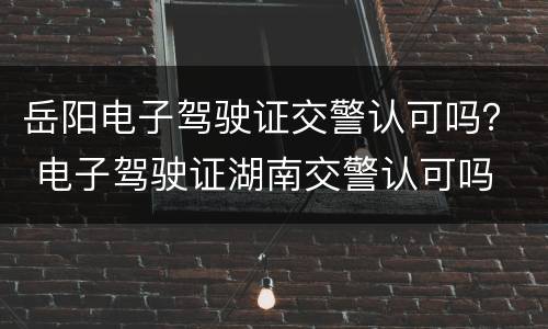 岳阳电子驾驶证交警认可吗？ 电子驾驶证湖南交警认可吗