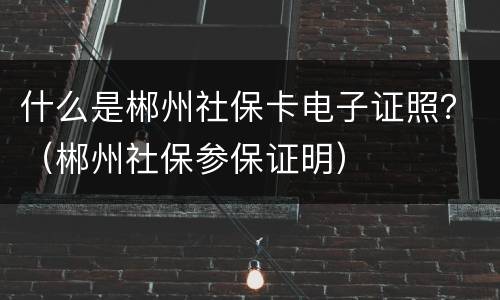 什么是郴州社保卡电子证照？（郴州社保参保证明）
