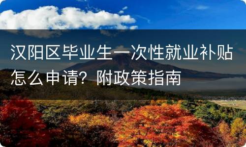 汉阳区毕业生一次性就业补贴怎么申请？附政策指南