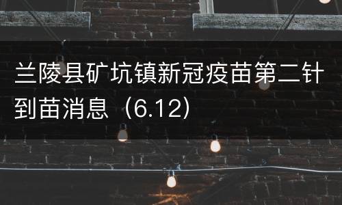 兰陵县矿坑镇新冠疫苗第二针到苗消息（6.12）
