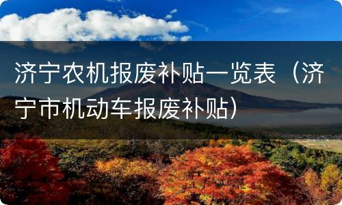 济宁农机报废补贴一览表（济宁市机动车报废补贴）