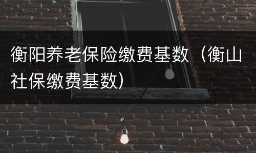 衡阳养老保险缴费基数（衡山社保缴费基数）
