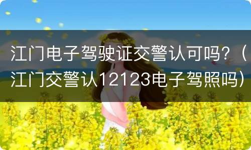 江门电子驾驶证交警认可吗?（江门交警认12123电子驾照吗）