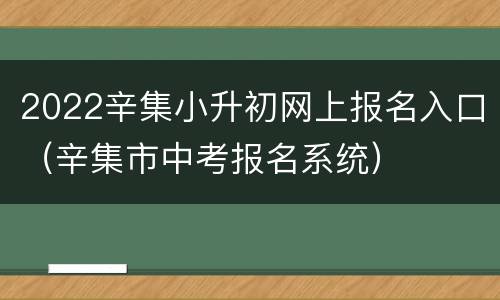 2022辛集小升初网上报名入口（辛集市中考报名系统）