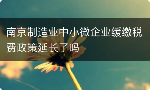 南京制造业中小微企业缓缴税费政策延长了吗