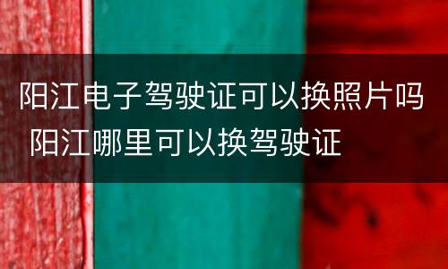 阳江电子驾驶证可以换照片吗 阳江哪里可以换驾驶证