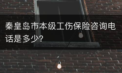 秦皇岛市本级工伤保险咨询电话是多少？