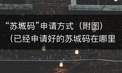 “苏城码”申请方式（附图）（已经申请好的苏城码在哪里找）