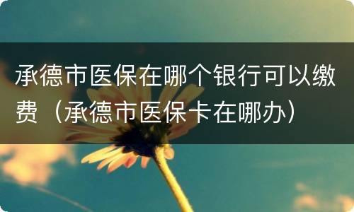 承德市医保在哪个银行可以缴费（承德市医保卡在哪办）