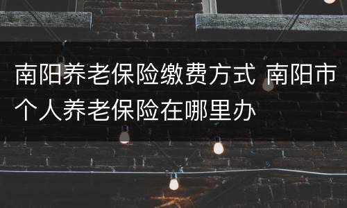 南阳养老保险缴费方式 南阳市个人养老保险在哪里办