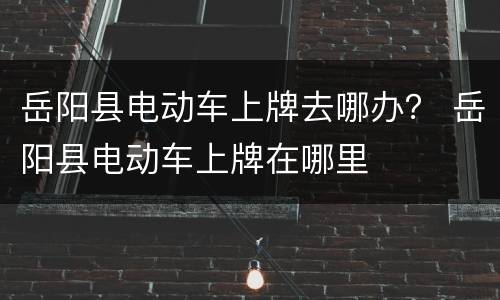 岳阳县电动车上牌去哪办？ 岳阳县电动车上牌在哪里